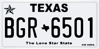 TX license plate BGR6501