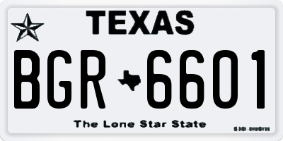 TX license plate BGR6601