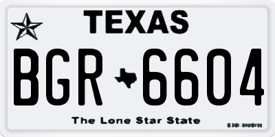 TX license plate BGR6604