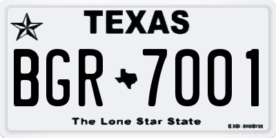 TX license plate BGR7001