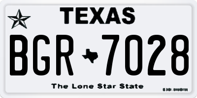 TX license plate BGR7028