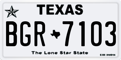 TX license plate BGR7103