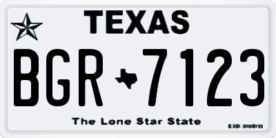 TX license plate BGR7123