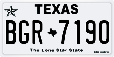 TX license plate BGR7190