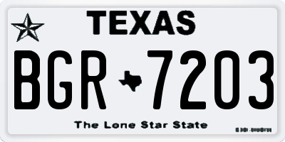 TX license plate BGR7203