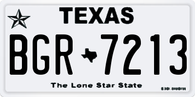 TX license plate BGR7213