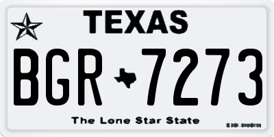 TX license plate BGR7273