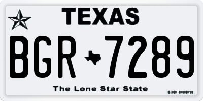 TX license plate BGR7289
