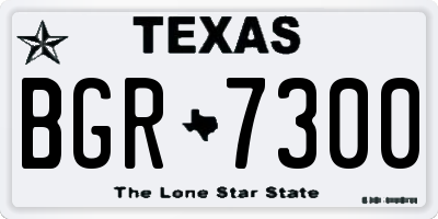 TX license plate BGR7300