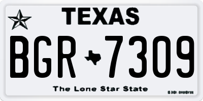 TX license plate BGR7309