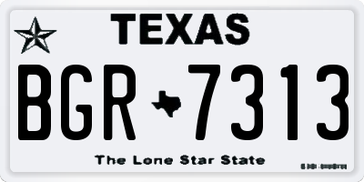 TX license plate BGR7313