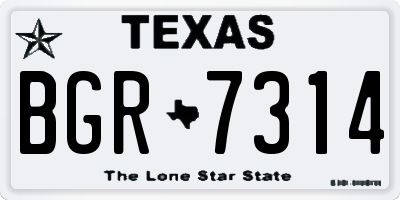 TX license plate BGR7314
