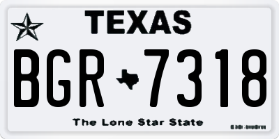 TX license plate BGR7318