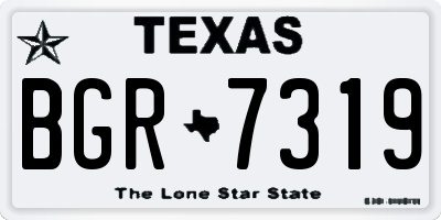 TX license plate BGR7319