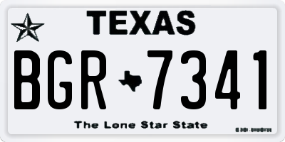TX license plate BGR7341