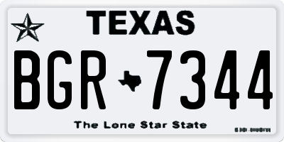 TX license plate BGR7344
