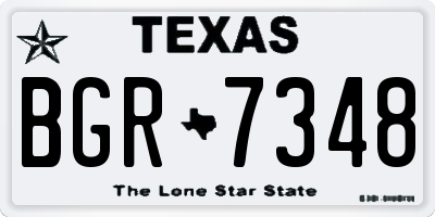 TX license plate BGR7348