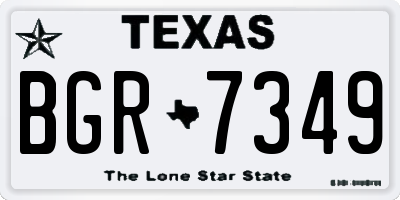 TX license plate BGR7349