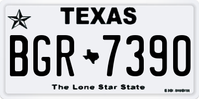 TX license plate BGR7390