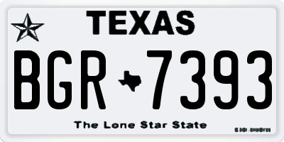 TX license plate BGR7393