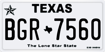 TX license plate BGR7560