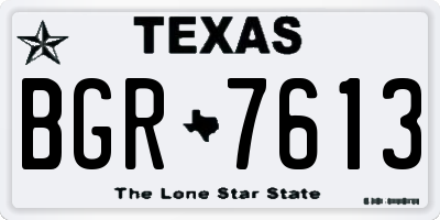 TX license plate BGR7613