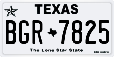 TX license plate BGR7825