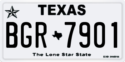 TX license plate BGR7901