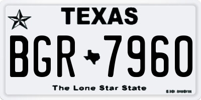 TX license plate BGR7960