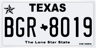 TX license plate BGR8019