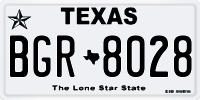 TX license plate BGR8028