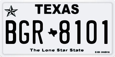 TX license plate BGR8101