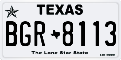 TX license plate BGR8113