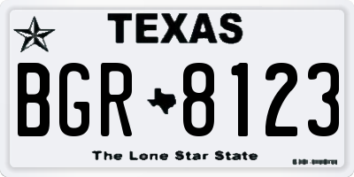 TX license plate BGR8123