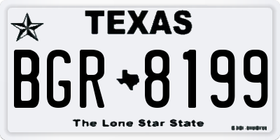 TX license plate BGR8199