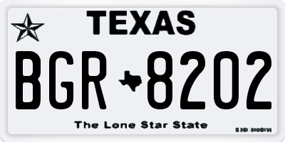TX license plate BGR8202