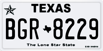 TX license plate BGR8229