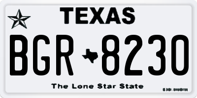 TX license plate BGR8230