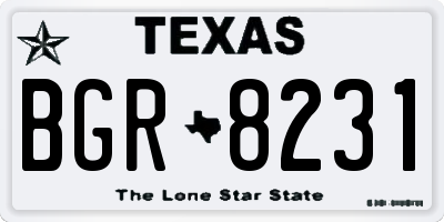 TX license plate BGR8231