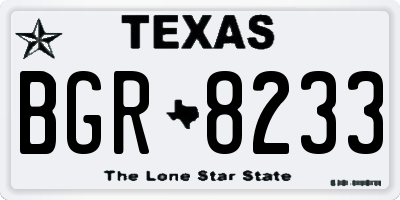 TX license plate BGR8233