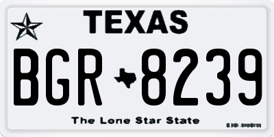 TX license plate BGR8239