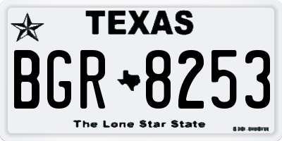 TX license plate BGR8253