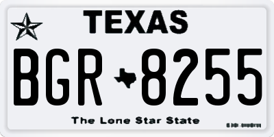 TX license plate BGR8255