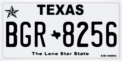 TX license plate BGR8256
