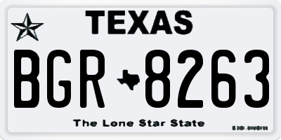 TX license plate BGR8263