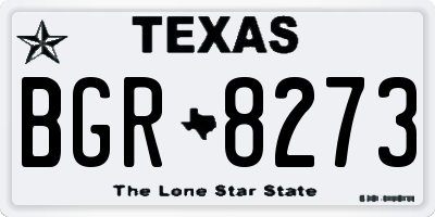 TX license plate BGR8273