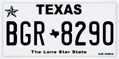 TX license plate BGR8290