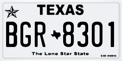 TX license plate BGR8301