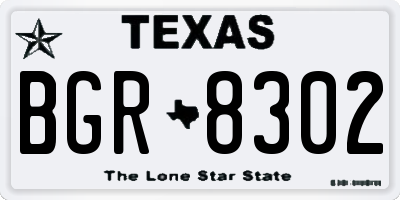 TX license plate BGR8302