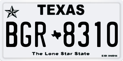 TX license plate BGR8310